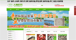 Desktop Screenshot of daqingxia.com